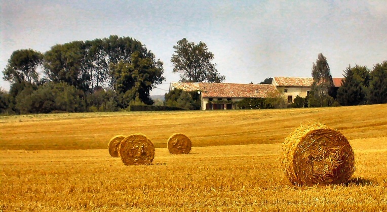 La Redonde en 2004